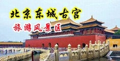 搜一搜美国大鸡巴操小逼中国北京-东城古宫旅游风景区